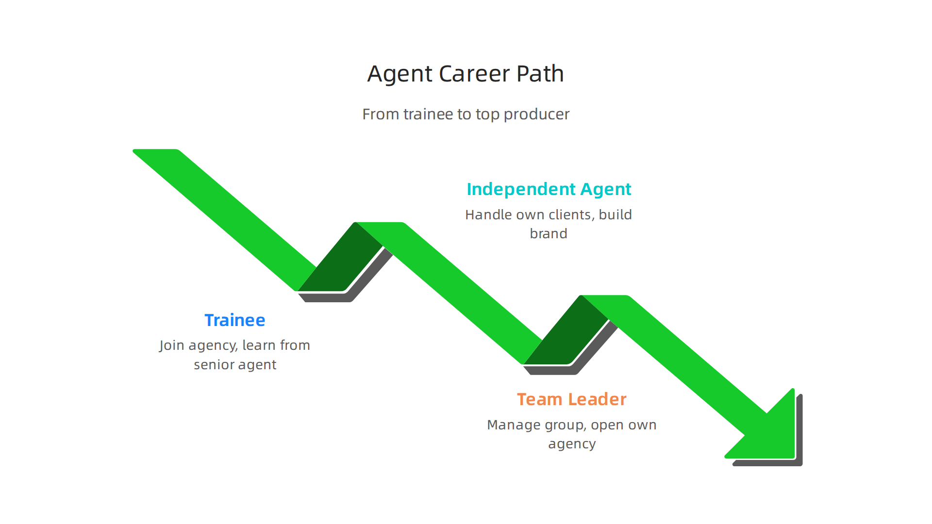 Visualize the typical career path for real estate agents in Dubai, from trainee to team leader.